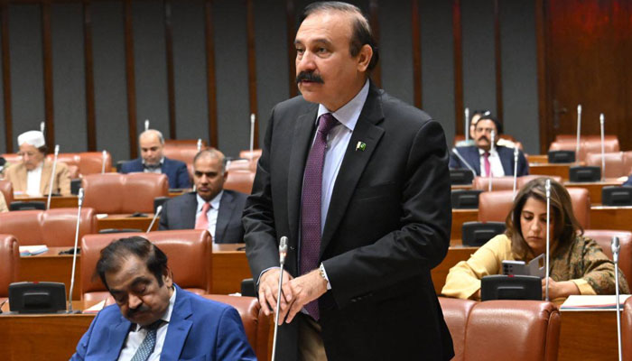 "سینیٹ اجلاس میں وفاقی وزیر طارق فضل چوہدری کا خطاب - پاکستان کی افغانستان میں کارروائی پر پالیسی بیان"