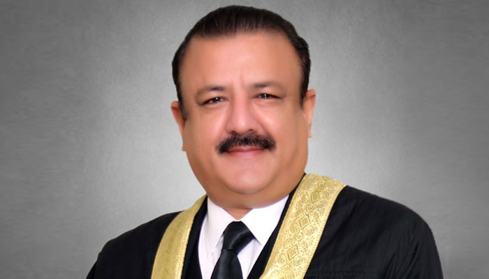 جسٹس طارق محمود جہانگیری کی پورٹریٹ تصویر